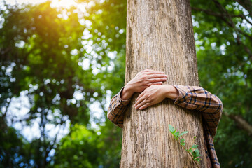 Forest conservationist gentle hugs tree in sunny park, deep care and respect for nature. Their hands embrace the trunk, reflecting commitment to environmental protection and sustainable ecosystems.
