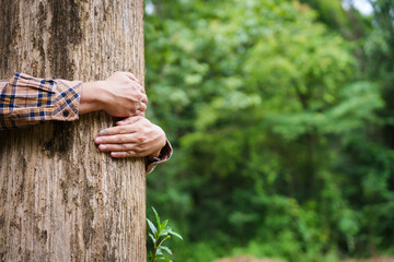 Forest conservationist gentle hugs tree in sunny park, deep care and respect for nature. Their hands embrace the trunk, reflecting commitment to environmental protection and sustainable ecosystems.