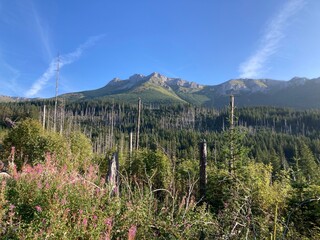 Tatry wysokie, Słowacja © Maciej G. Szling