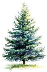 Fototapeta premium Watercolor Christmas Tree Clipart, Hyper-Realistic Style for Children's Book Illustration on White Background
