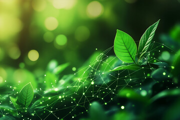 Green digital network
