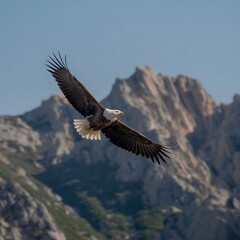 Obraz premium A soaring eagle above mountains, wings spread wide, clear blue sky, Photography, Nikon