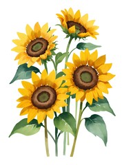 Watercolor Sunflowers clipart, Watercolor floral,  Bright Sunflower Images, Sunny Summer Floral Graphics, digital download, invitation 