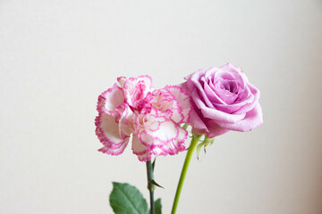 薔薇とカーネーション
