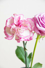 Obraz premium 薔薇とカーネーション