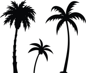 Palm tree silhouette. palm trees set