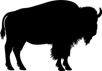 Bison Animal Wildlife Silhouette