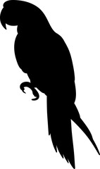Parrot Animal Wildlife Silhouette © adinuranjaya