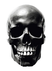 Obraz premium PNG Photography of skull with shadow photography monochrome portrait.