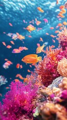 Obraz premium Vibrant Coral Reef with Tropical Fish