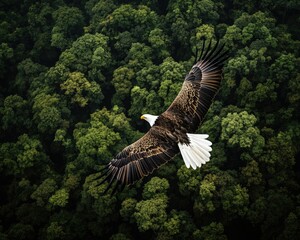 Majestic eagle gliding gracefully over a lush green forest, symbolizing freedom and strength in nature.