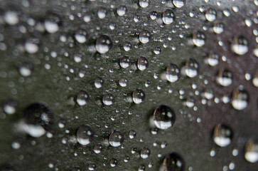 Focus on water droplets on dark cover background. Water droplets and wallpaper concept.
