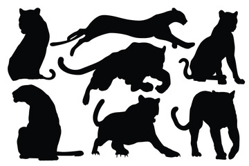Silhouettes of leopard, cheetah. Black panther vector illustration design. Angry panther silhouette, full length, showing her teeth, walking Different view. Dangerous animals icon. Panther Day 