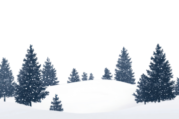 PNG A snowy landscape with many pine trees covered in snow background scenery nature.