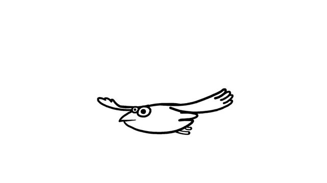 Flying black and white raven - loop whiteboard. Black and white linear style bird good for any background and any use. 
