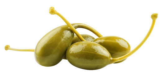 Caper isolated on white background, full depth of field
