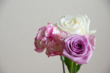 薔薇とカーネーション