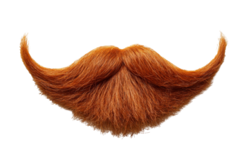 Fake curly ginger handlebar mustache and beard isolated on white background