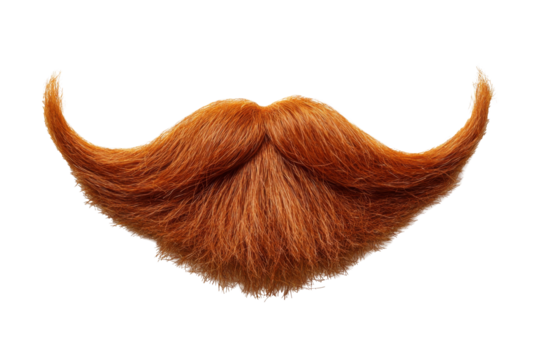 Fake curly ginger handlebar mustache and beard isolated on white background