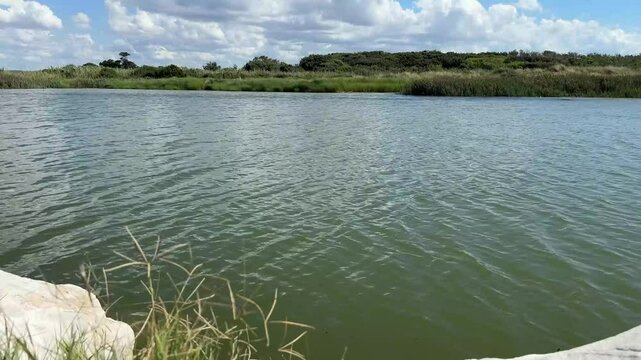 foce del fiume