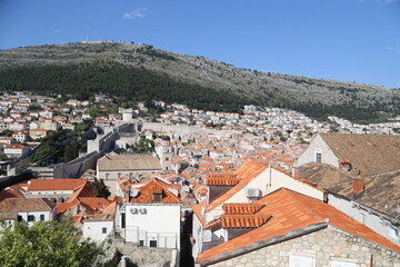 town of kotor