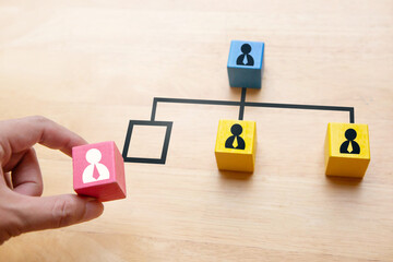 Human resource management; Employee recruitment and hiring new staff, Organization chart