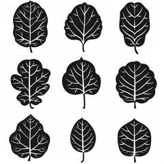 Obraz premium Fiddle Leaf Fig (Ficus Lyrata) Pot Plant Icon Set, Ficus Lyrata Plant Flat Design, Fiddle Leaf Fig Symbol