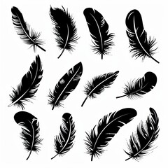 Feather icon, animal feathers isolated, black plume symbol, minimal plume silhouette on white