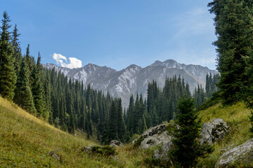 Beautiful mountain landscape, forest and mountains in summer time. Valley in Kazakhstan.