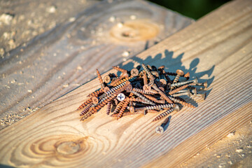 A pile of rusty screws on a wooden surface