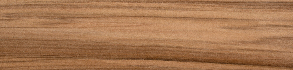 Two-tone sap gum veneer with contrasting light and dark wood streaks