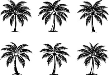 Palm trees silhouette black and white background