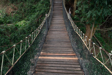 Obraz premium Suspension bridge in the evergreen forest for adventure trail in Chiang Mai.