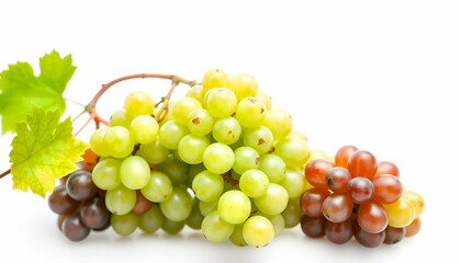 Clusters of ripe green, yellow, and purple grapes with leaves on a white background