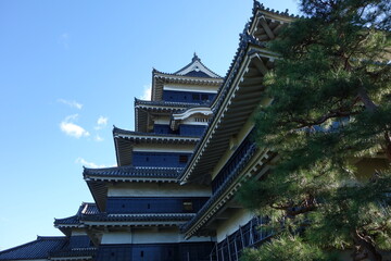 Fototapeta premium 日本, 長野県の松本城