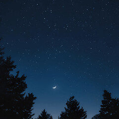 Fototapeta premium starry night sky