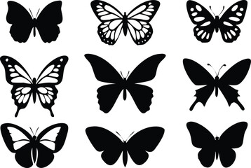 Different butterflies set. Vector illustration