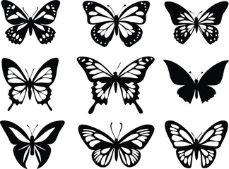 Different butterflies set. Vector illustration