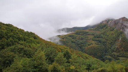 fog in the mountains