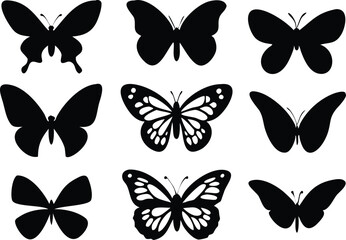 Different butterflies set. Vector illustration