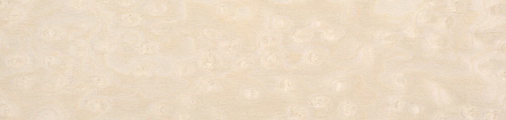 A symphony of soft alabaster and muted eggshell dance across the ash burl veneer, reflecting a...