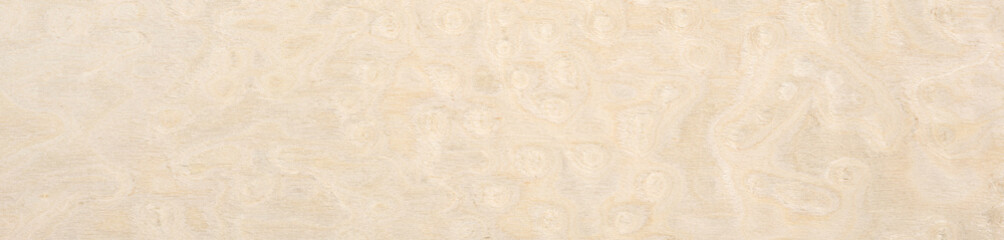 Warm taupe and soft cream hues intermingle in the unique pattern of this high-quality maple burl wood veneer