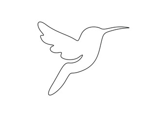 Hummingbird in one continuous line drawing. Isolated on white background vector illustration