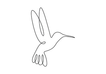 Hummingbird in one continuous line drawing. Isolated on white background vector illustration