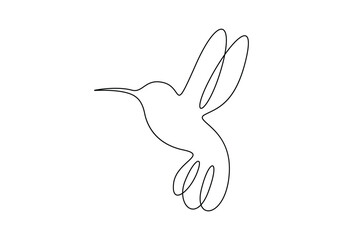 Hummingbird in one continuous line drawing. Isolated on white background vector illustration