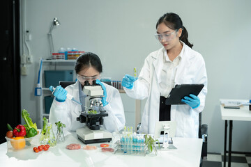 Team Microbiologists Analyzing Molecular Samples in Advanced Food Science Laboratory, Dietitian...