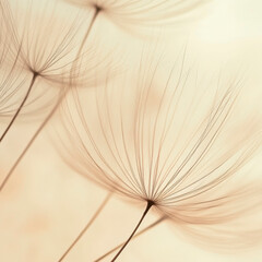 Obraz premium Schwemmhaare im Licht