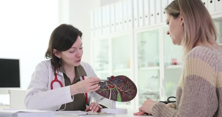 Doctor explains liver operation concept to patient using plastic model. Female therapist shows damaged parts of body organ proposing treatment plan
