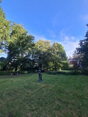 Naklejka premium ein Park mit einem schönen, blauen Himmel und mit einer Statue im Zentrum