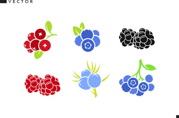 Fresh berries with leaves vector. Isolated raspberry blackberry blueberry cranberry and juniper berry